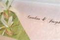 Wedding Invitations Truly, Madly, Deeply...