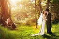 Wedding Photography Dreamlife Photos & Video