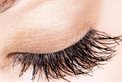 Wedding Services Lash Studio