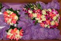 Wild Violet Florist & Gifts