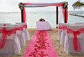 Impressive Wedding Essentials