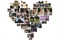 DS Wedding Videography