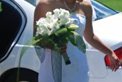 Melissa's Wedding Flowers