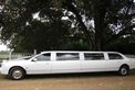 Signature Limousines