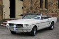 Sweet Ride Mustangs