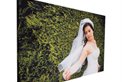 Digital Canvas Prints