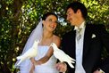 Doves by Day
