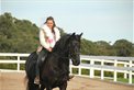Horseback Winery Tours