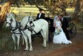 Eagle Carriages