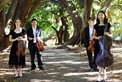 Ambrosia Ensembles