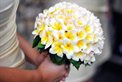 Bali Weddings from Oz