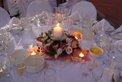 Starcutflowers Wedding and Events