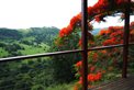 Maleny Tropical Retreat