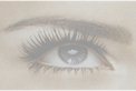 Eyebrow Experts