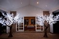 LightUp Events