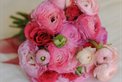 Floral Design Sydney