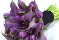 Nirvana Bliss Wedding Flowers