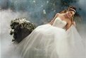 Graceful Occasions