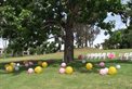 Outdoor Ceremonies and Events