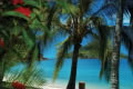 Honeymoon Packages