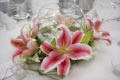 Events of Elegance