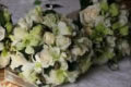 Flowers by Kate