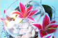 Lilylane Designs