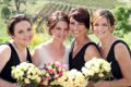 Amaranthine Flowers By Design