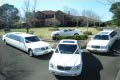 Executive Limousines