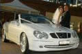 Haberfield Five Dock Wedding & Hire Cars