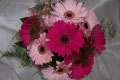 Bunch & Judys Florist & Gifts