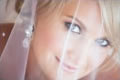 Kim Image Specialist