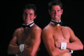 Collar & Cuffs