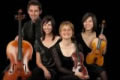 Rococo Strings