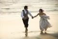 The Little White Wedding Company