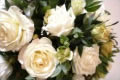 Instyle Blooms By Mary-Ann