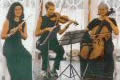 Fine Music Ensembles