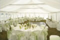 The Party Company Pty Ltd