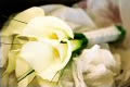 Lucy Best Photography