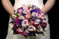 Beautiful Flowers