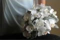 Bosky Blooms