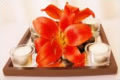 Eternity Flower Creations