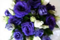 Virginia Mary Florist