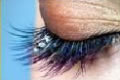 Lash Couture