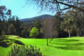 Grange Yarra Valley