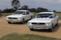 Ride My Pony Mustang's