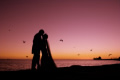 Bruce Maconachie Photography