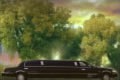 Ebony and Ivory Limousines