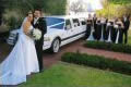 Lincoln Town Cars