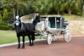Golden Sunset Tours